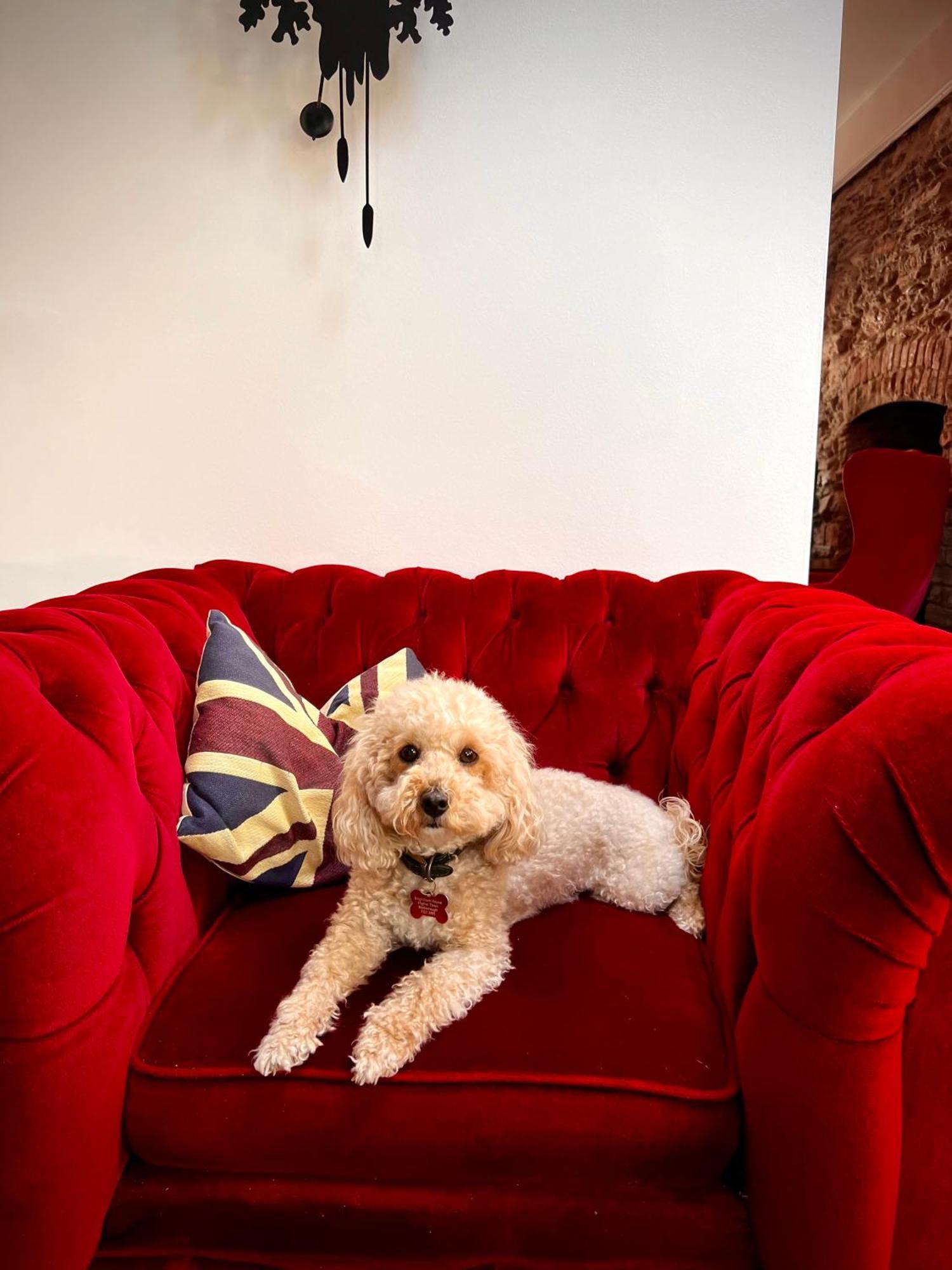 Brightham House - Exclusively For Adults Bed & Breakfast Salcombe Eksteriør bilde