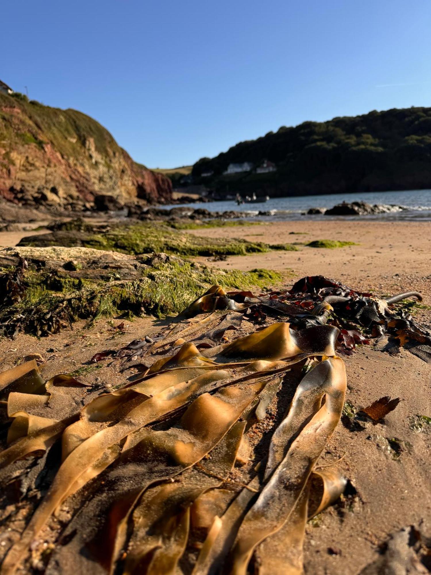 Brightham House - Exclusively For Adults Bed & Breakfast Salcombe Eksteriør bilde